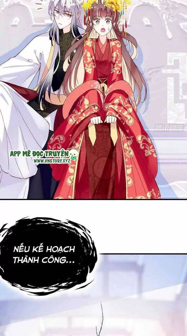 Lại Bị Bệnh Chiều Chuộng Quấn Lấy Chapter 4 - Trang 2