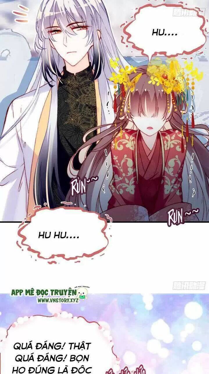 Lại Bị Bệnh Chiều Chuộng Quấn Lấy Chapter 4 - Trang 2