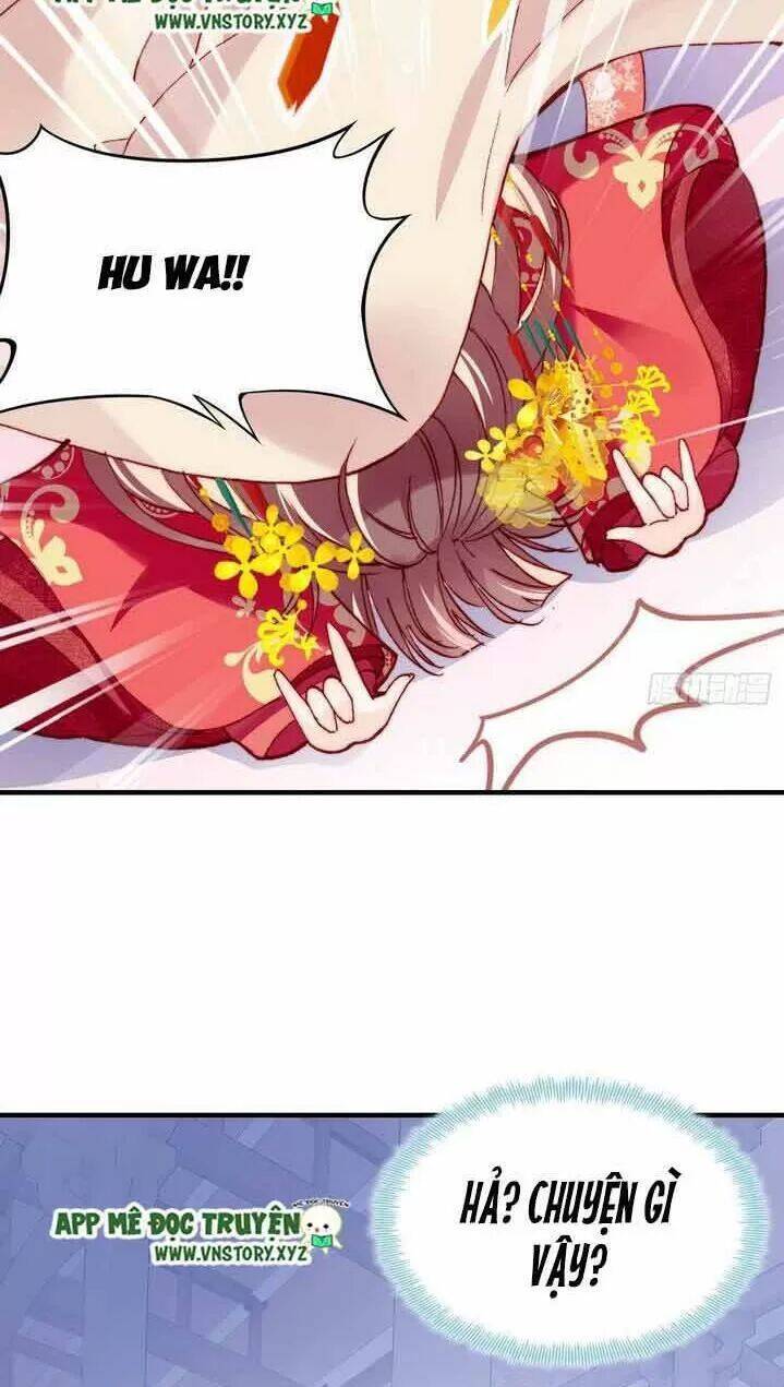 Lại Bị Bệnh Chiều Chuộng Quấn Lấy Chapter 4 - Trang 2