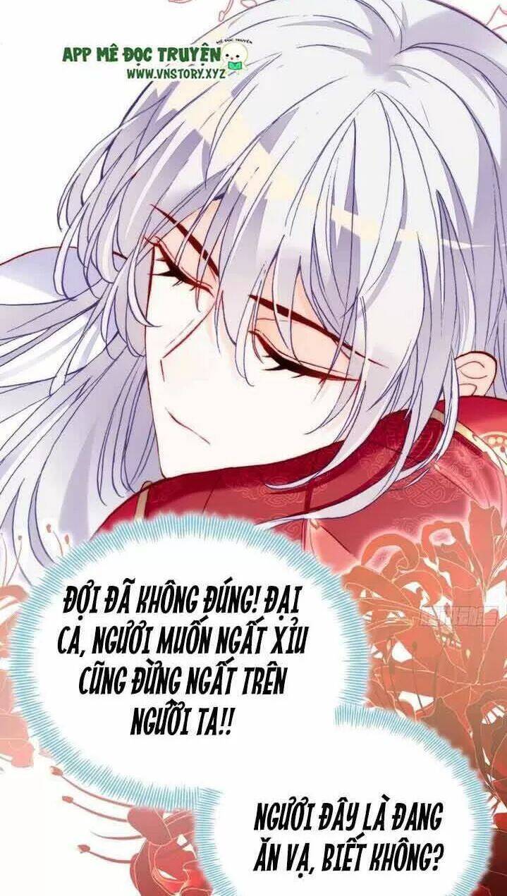 Lại Bị Bệnh Chiều Chuộng Quấn Lấy Chapter 4 - Trang 2