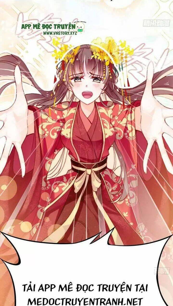 Lại Bị Bệnh Chiều Chuộng Quấn Lấy Chapter 4 - Trang 2