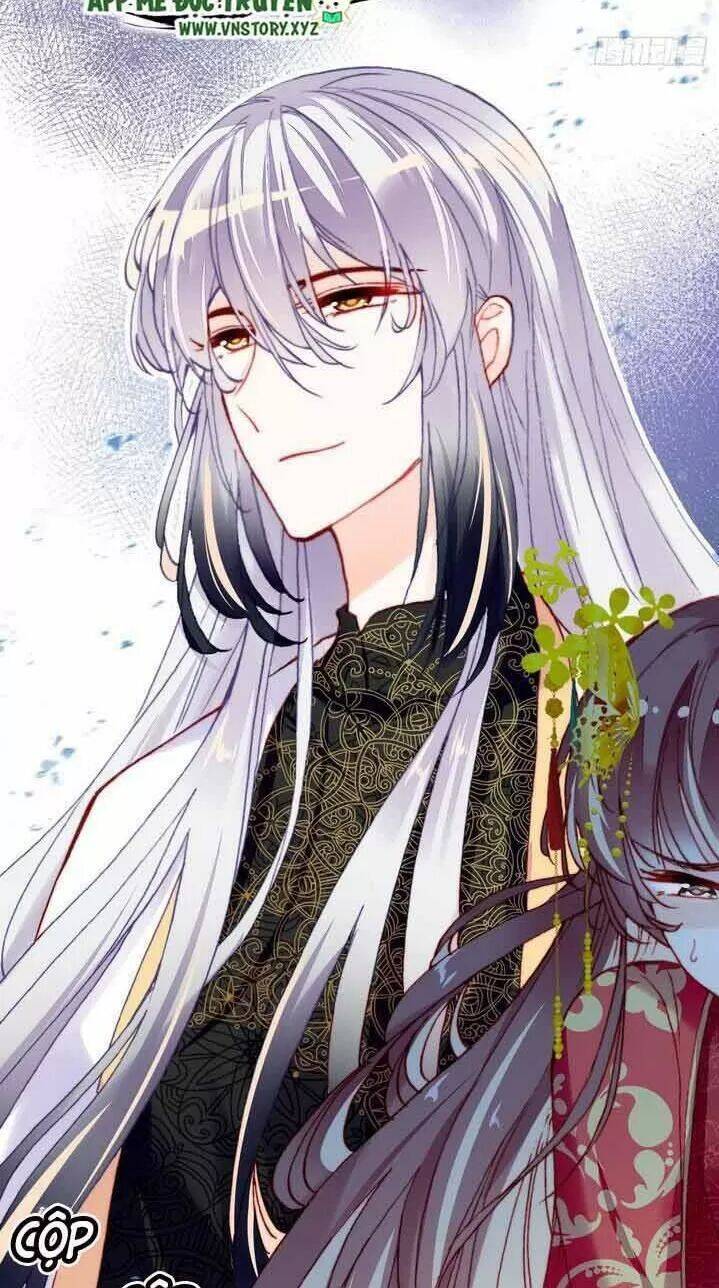 Lại Bị Bệnh Chiều Chuộng Quấn Lấy Chapter 4 - Trang 2