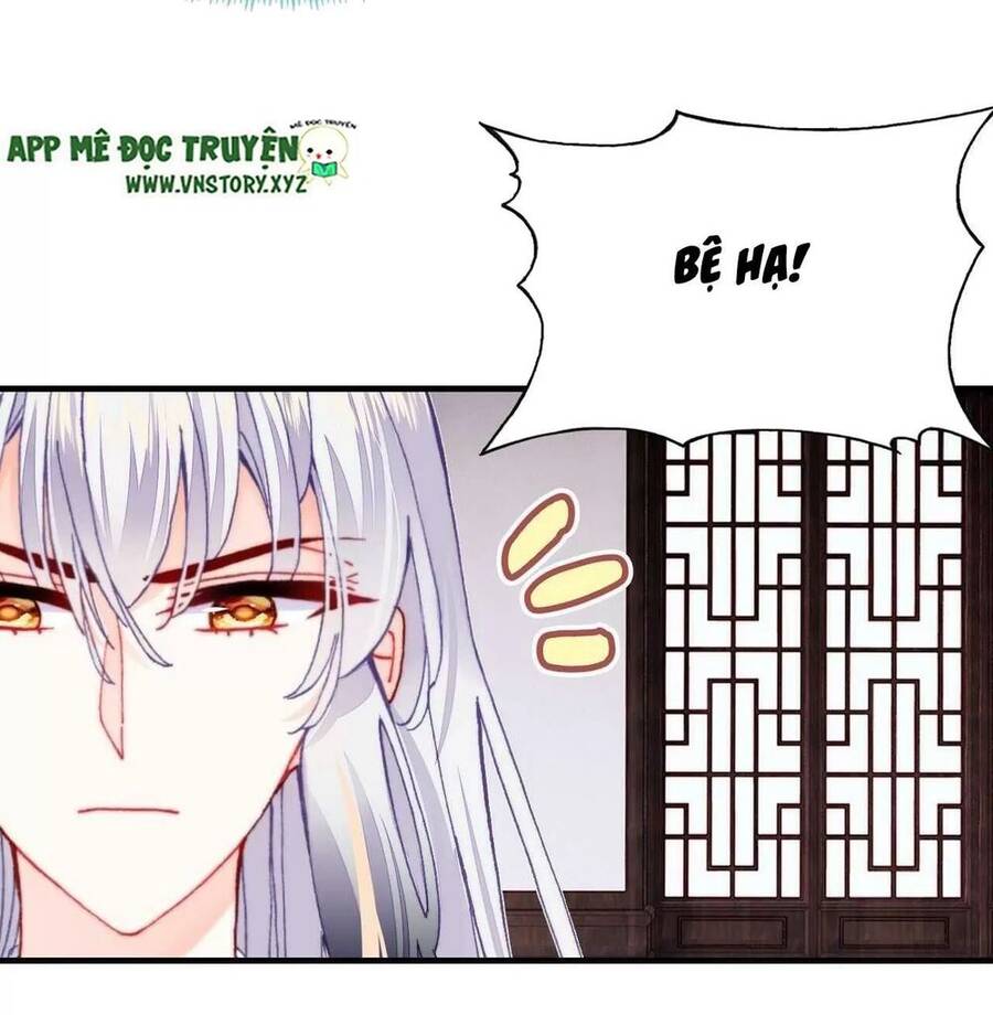 Lại Bị Bệnh Chiều Chuộng Quấn Lấy Chapter 40 - Trang 2