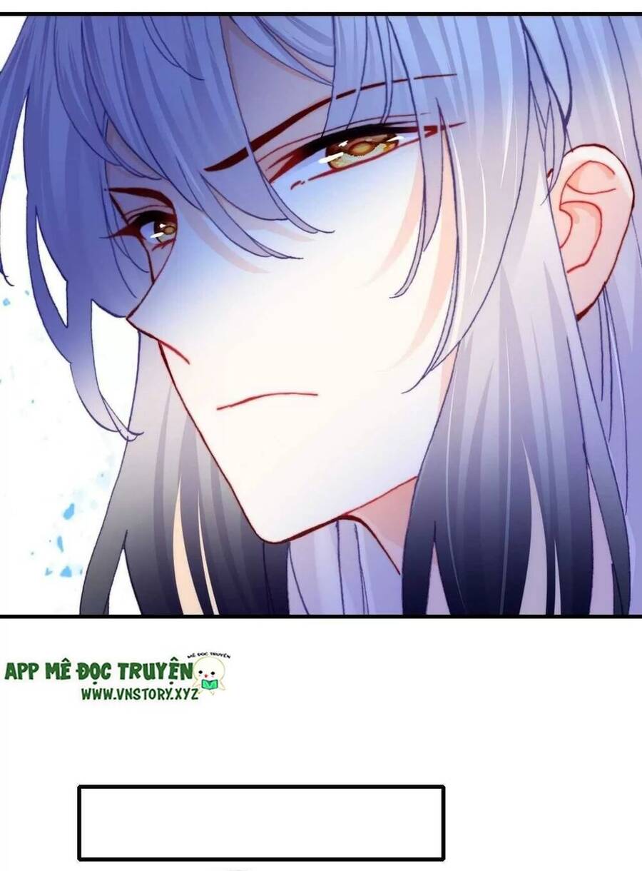 Lại Bị Bệnh Chiều Chuộng Quấn Lấy Chapter 40 - Trang 2