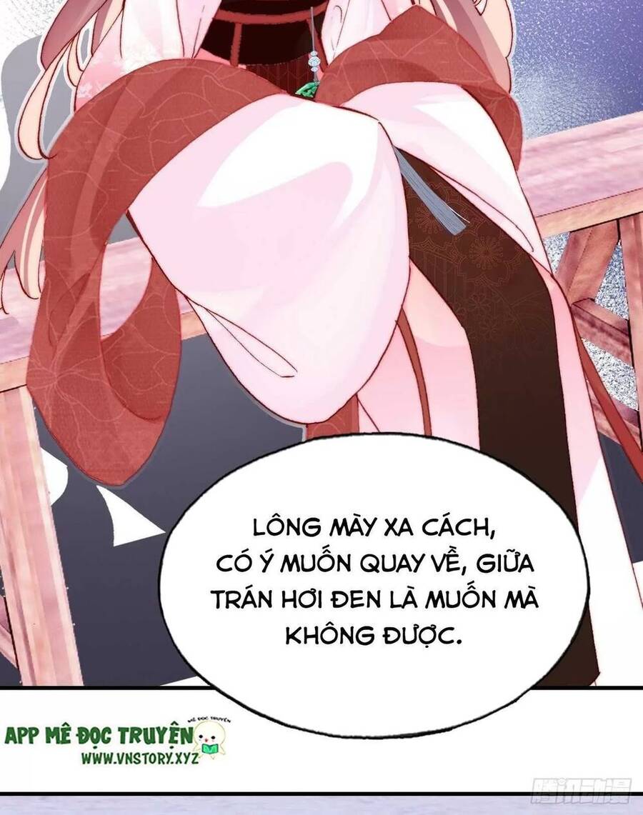 Lại Bị Bệnh Chiều Chuộng Quấn Lấy Chapter 41 - Trang 2