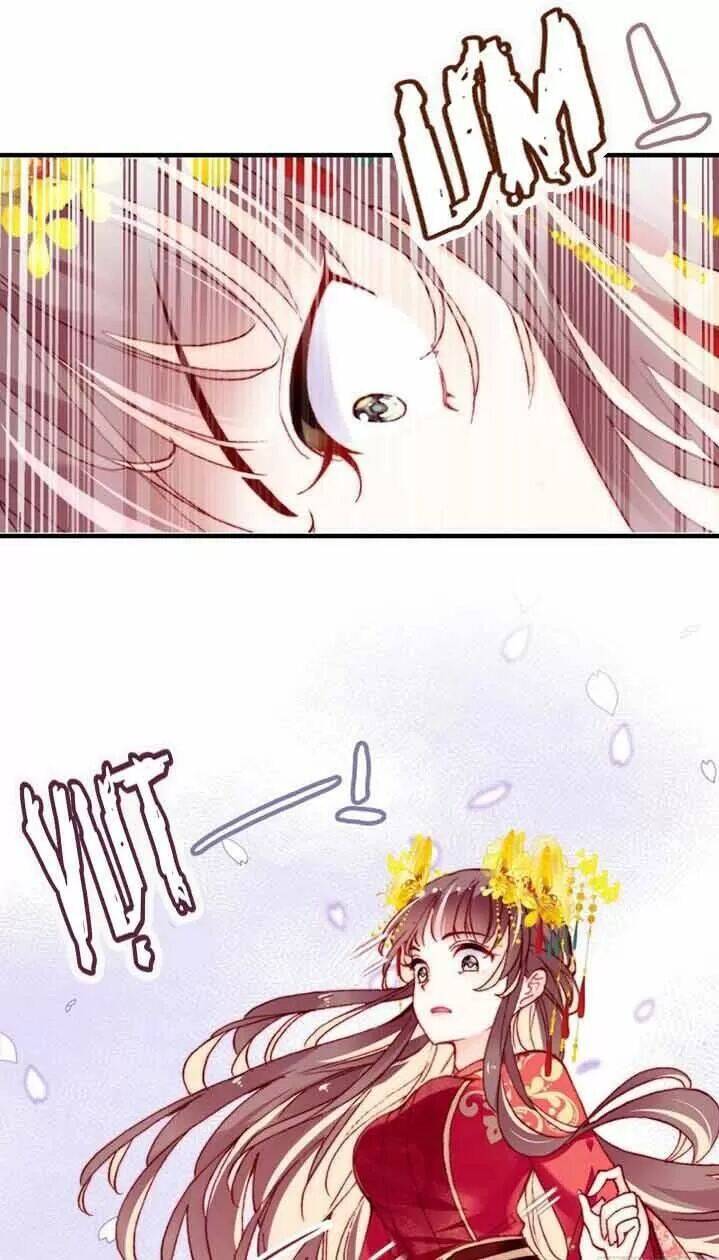 Lại Bị Bệnh Chiều Chuộng Quấn Lấy Chapter 5 - Trang 2