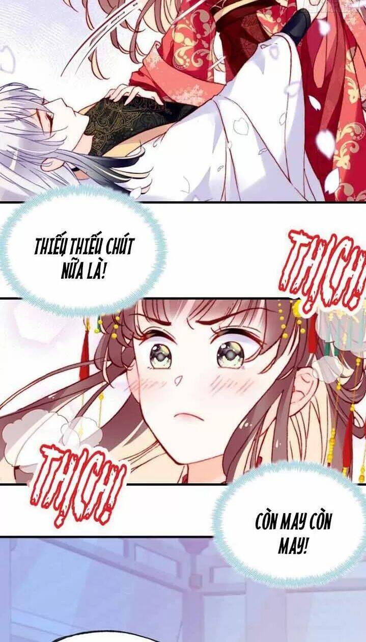 Lại Bị Bệnh Chiều Chuộng Quấn Lấy Chapter 5 - Trang 2