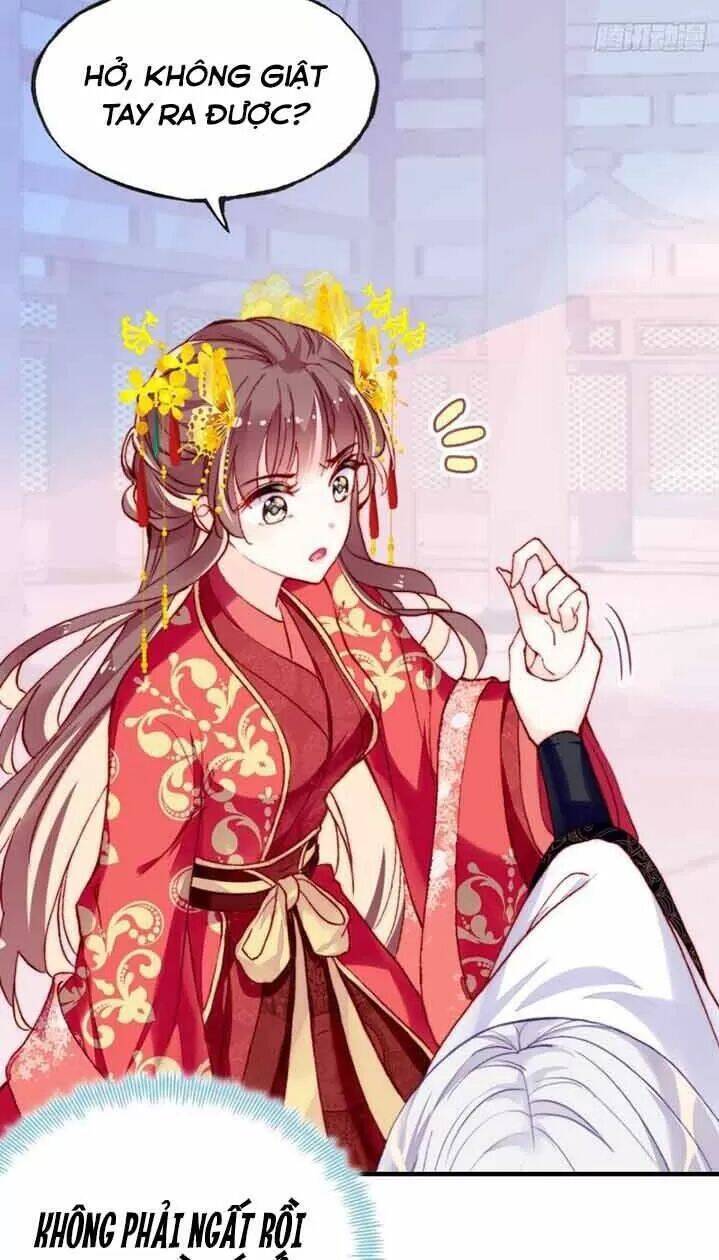 Lại Bị Bệnh Chiều Chuộng Quấn Lấy Chapter 5 - Trang 2