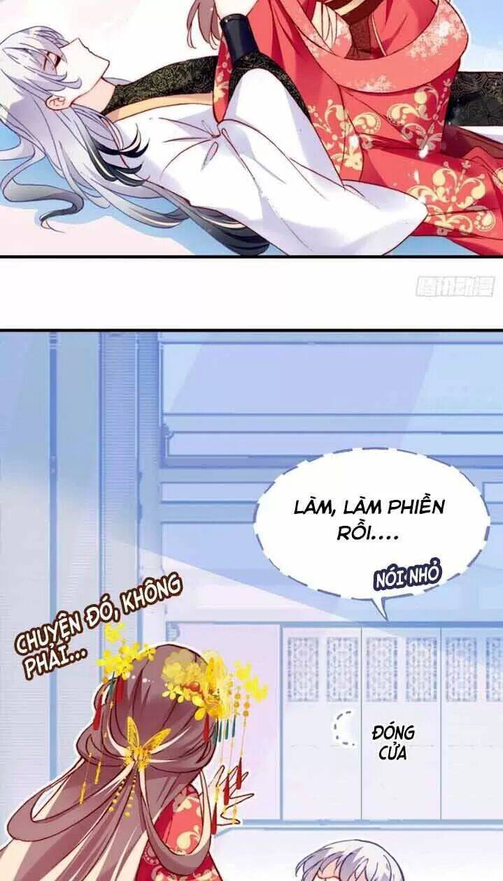 Lại Bị Bệnh Chiều Chuộng Quấn Lấy Chapter 5 - Trang 2