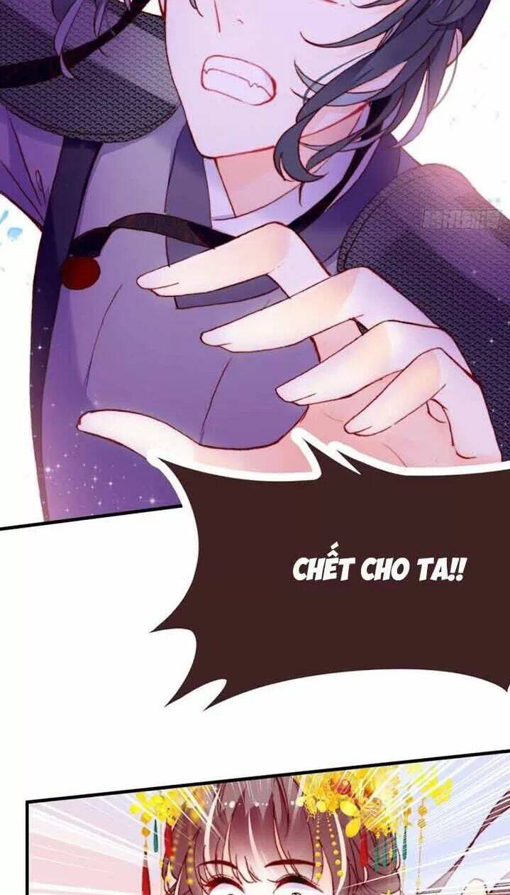 Lại Bị Bệnh Chiều Chuộng Quấn Lấy Chapter 5 - Trang 2