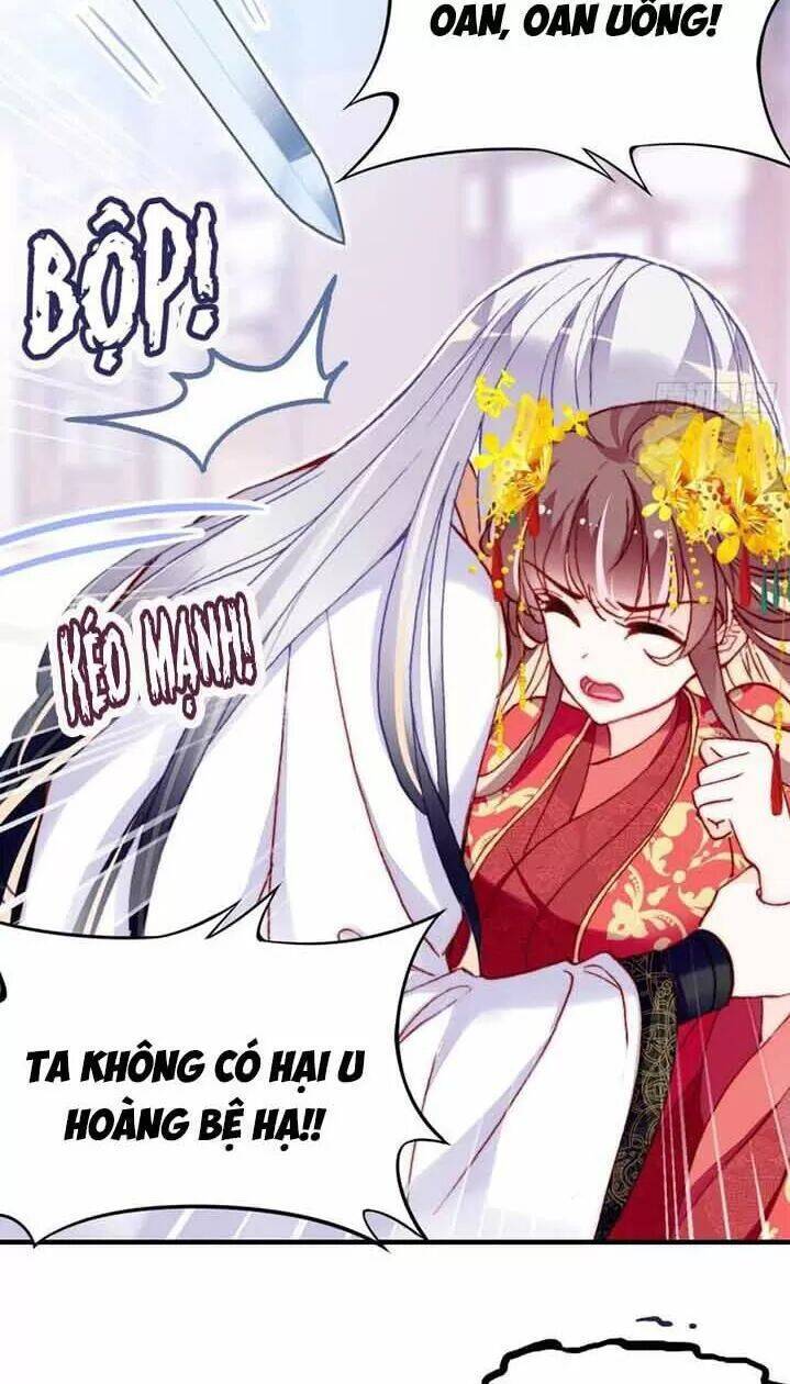 Lại Bị Bệnh Chiều Chuộng Quấn Lấy Chapter 5 - Trang 2