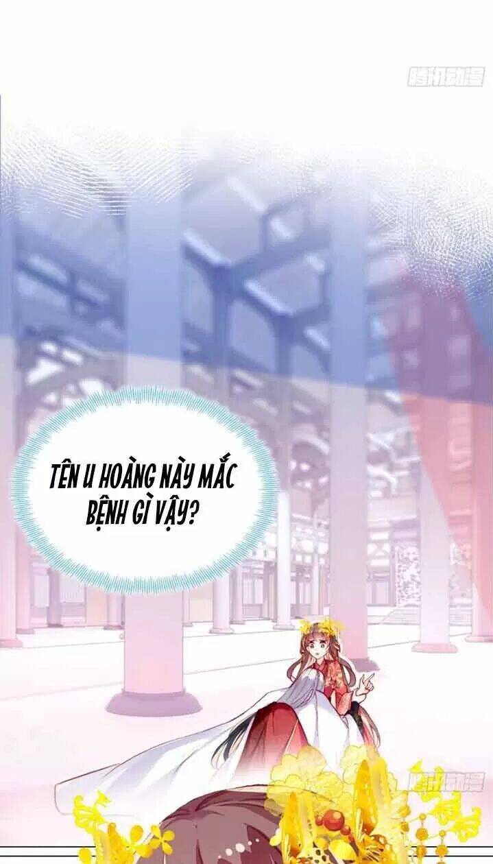 Lại Bị Bệnh Chiều Chuộng Quấn Lấy Chapter 5 - Trang 2