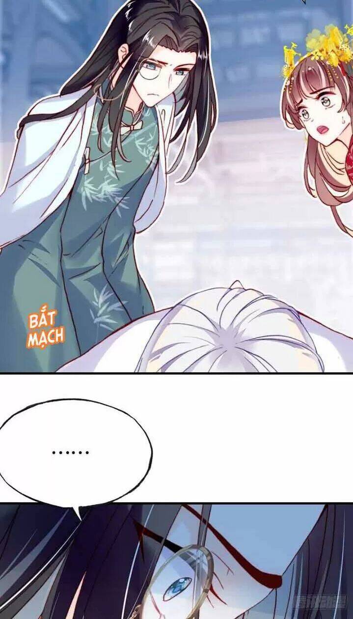 Lại Bị Bệnh Chiều Chuộng Quấn Lấy Chapter 5 - Trang 2