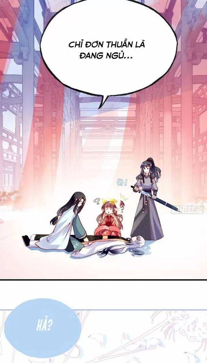 Lại Bị Bệnh Chiều Chuộng Quấn Lấy Chapter 5 - Trang 2