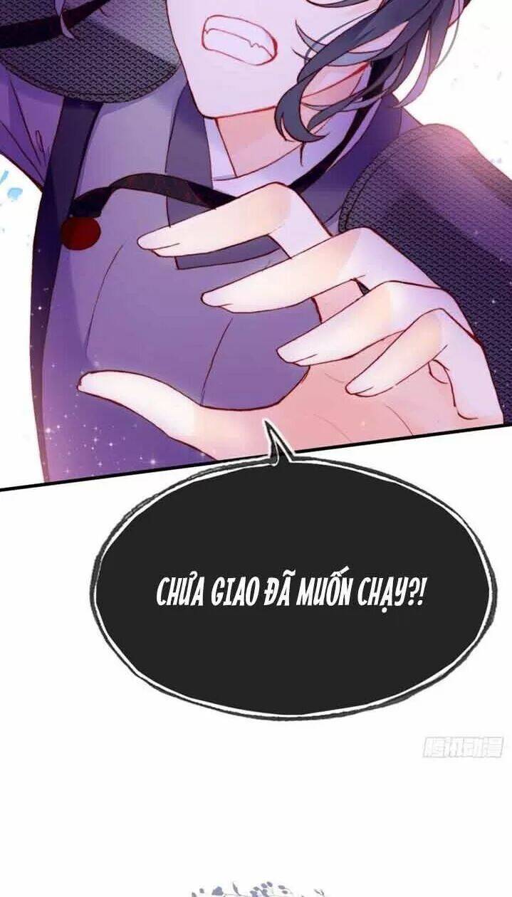 Lại Bị Bệnh Chiều Chuộng Quấn Lấy Chapter 5 - Trang 2