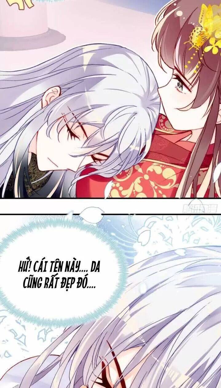 Lại Bị Bệnh Chiều Chuộng Quấn Lấy Chapter 5 - Trang 2