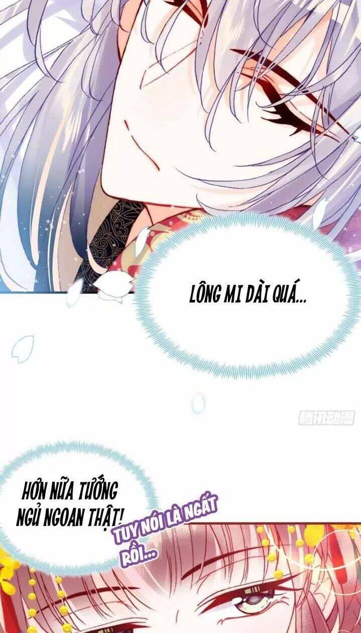 Lại Bị Bệnh Chiều Chuộng Quấn Lấy Chapter 5 - Trang 2