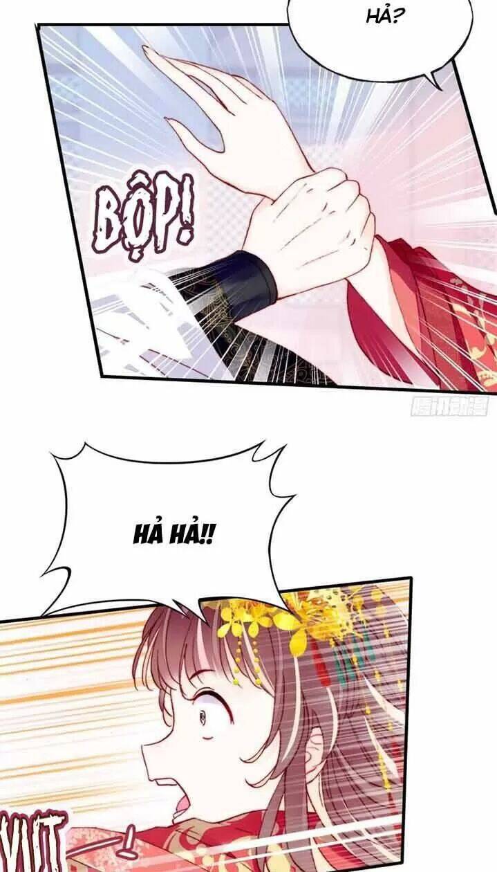 Lại Bị Bệnh Chiều Chuộng Quấn Lấy Chapter 5 - Trang 2