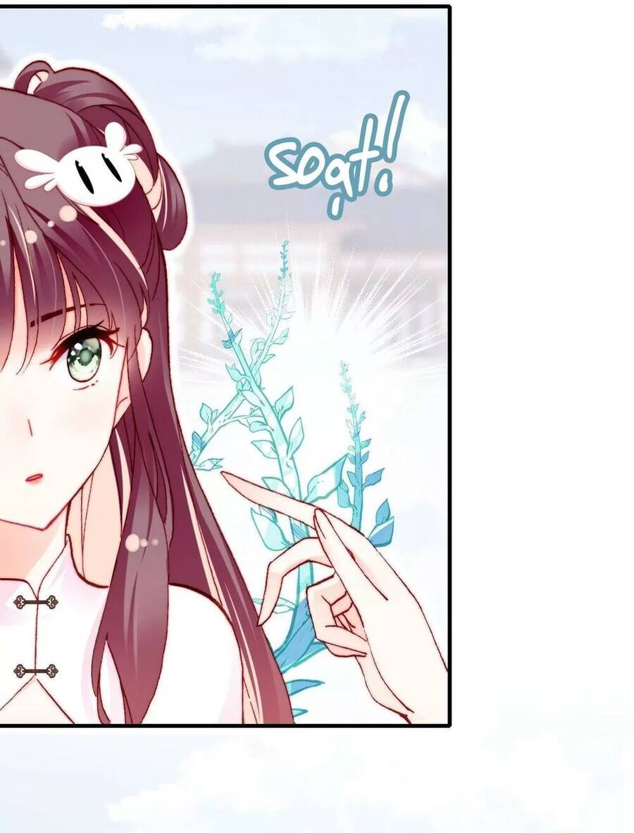 Lại Bị Bệnh Chiều Chuộng Quấn Lấy Chapter 50 - Trang 2