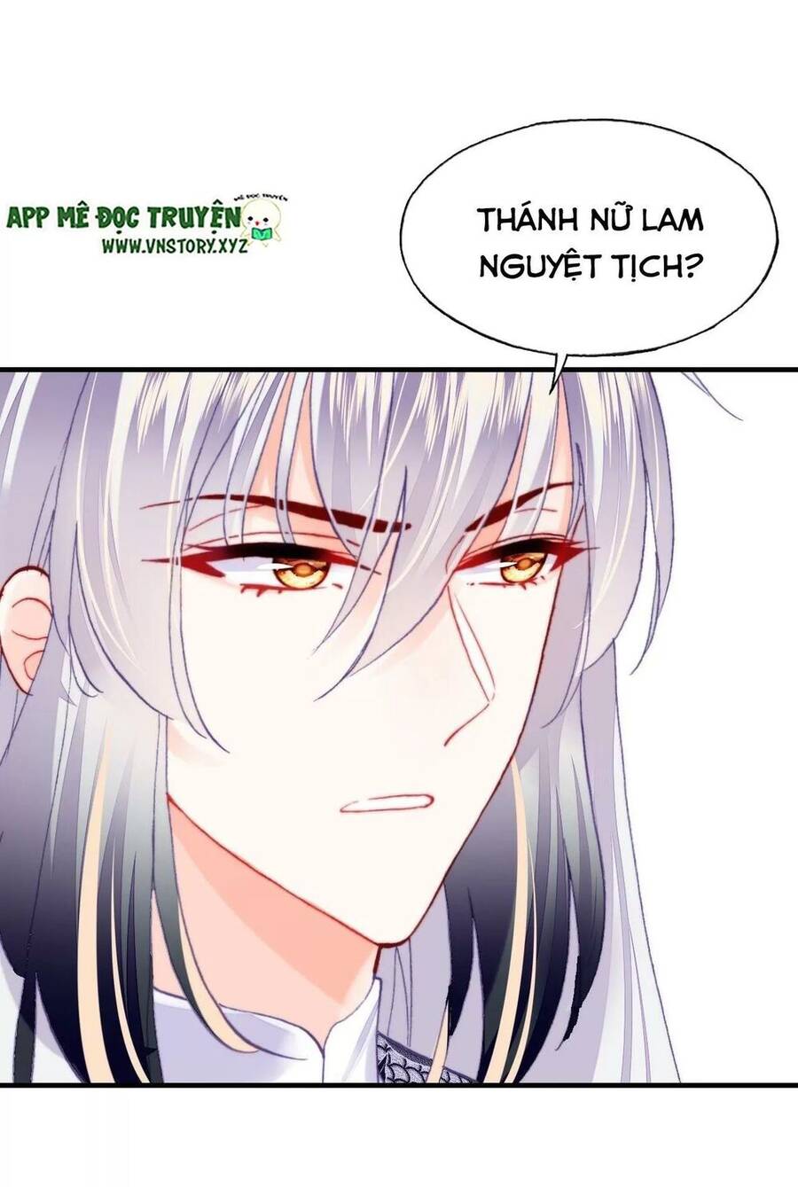 Lại Bị Bệnh Chiều Chuộng Quấn Lấy Chapter 50 - Trang 2