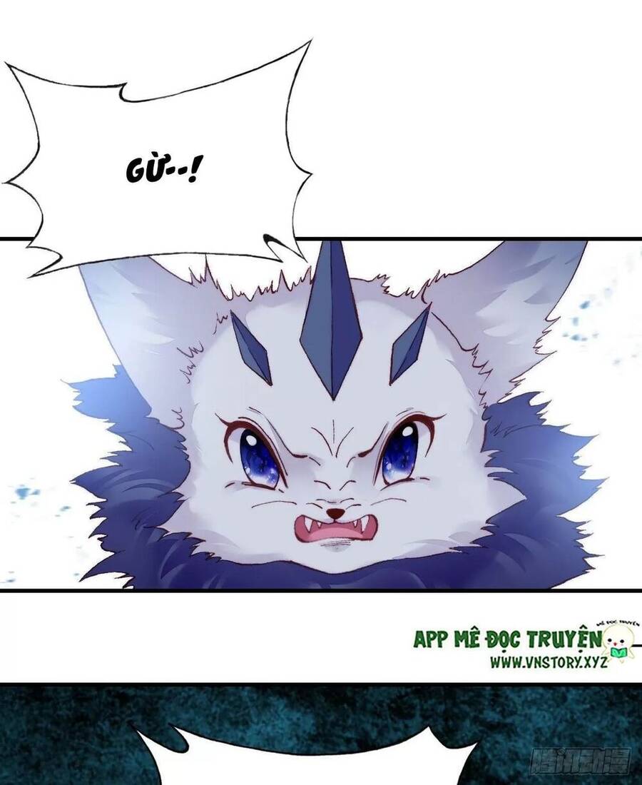 Lại Bị Bệnh Chiều Chuộng Quấn Lấy Chapter 51 - Trang 2