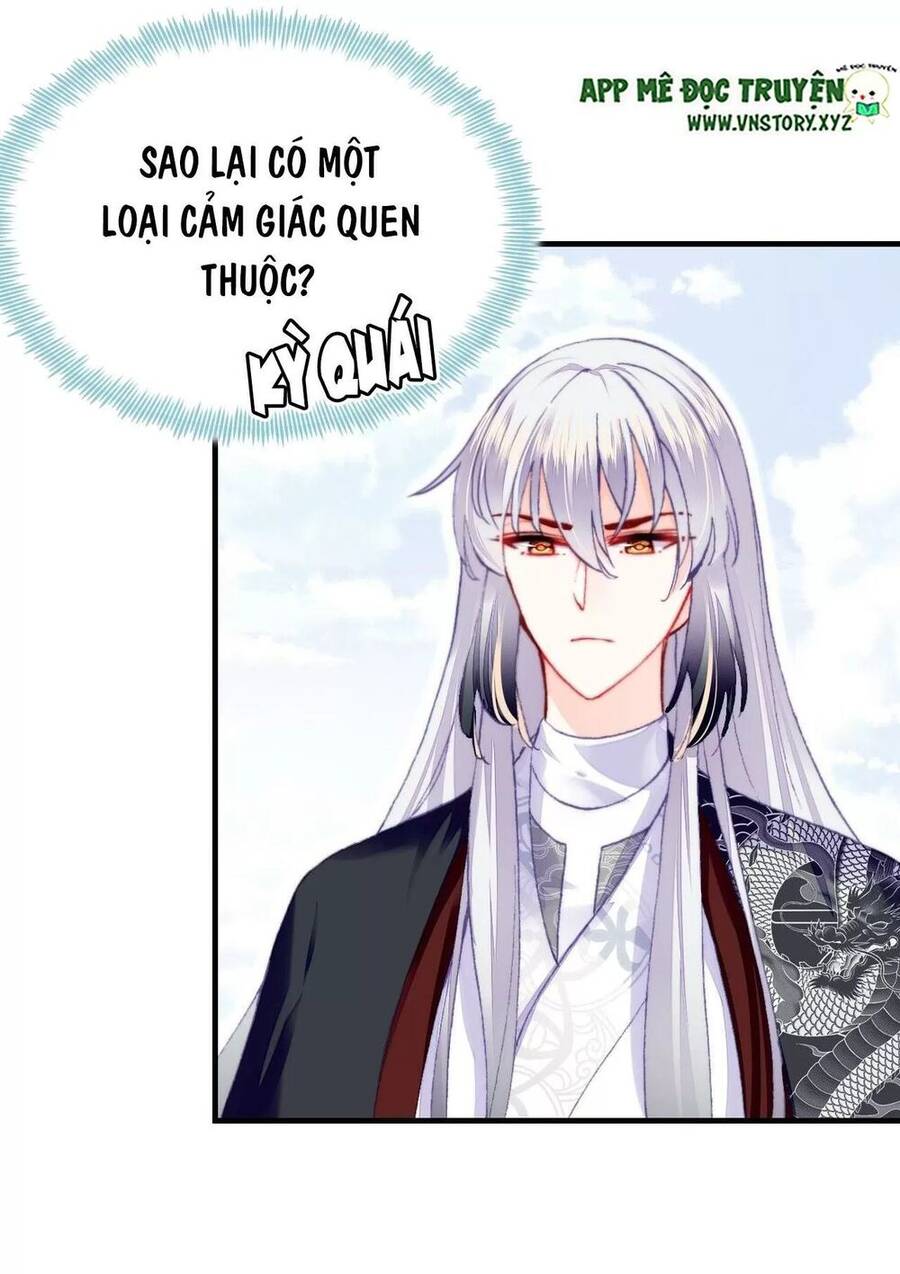 Lại Bị Bệnh Chiều Chuộng Quấn Lấy Chapter 51 - Trang 2