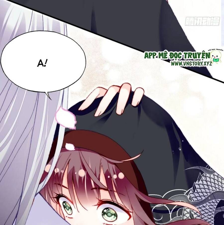 Lại Bị Bệnh Chiều Chuộng Quấn Lấy Chapter 51 - Trang 2