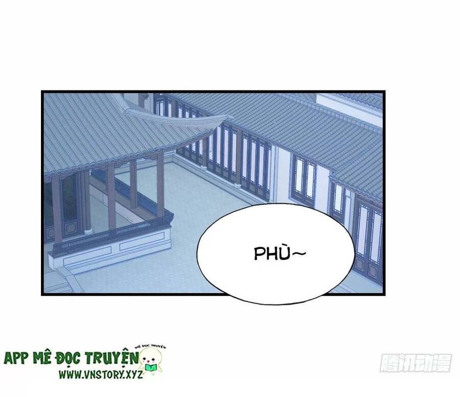 Lại Bị Bệnh Chiều Chuộng Quấn Lấy Chapter 52 - Trang 2