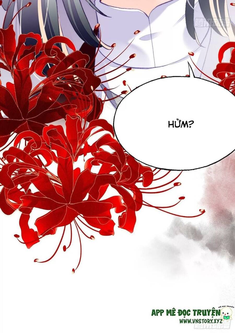 Lại Bị Bệnh Chiều Chuộng Quấn Lấy Chapter 52 - Trang 2