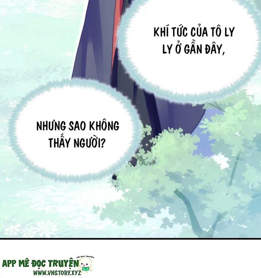 Lại Bị Bệnh Chiều Chuộng Quấn Lấy Chapter 55 - Trang 2