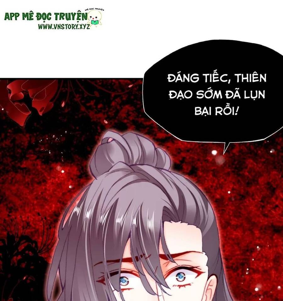 Lại Bị Bệnh Chiều Chuộng Quấn Lấy Chapter 59 - Trang 2