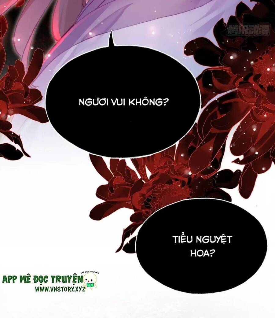 Lại Bị Bệnh Chiều Chuộng Quấn Lấy Chapter 59 - Trang 2