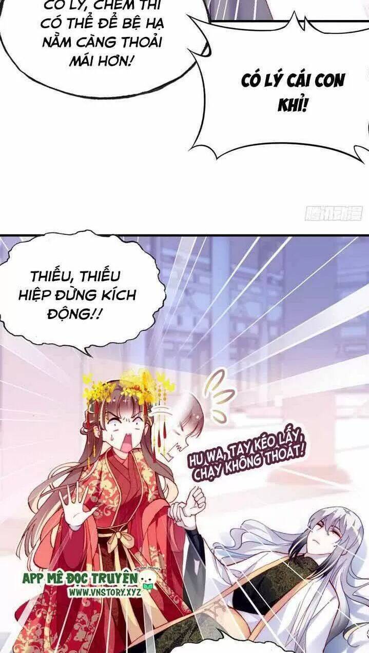Lại Bị Bệnh Chiều Chuộng Quấn Lấy Chapter 6 - Trang 2