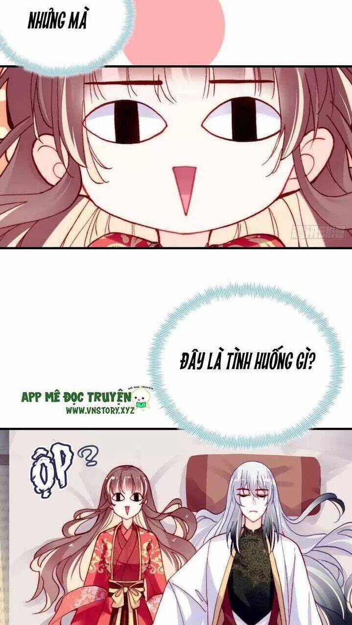 Lại Bị Bệnh Chiều Chuộng Quấn Lấy Chapter 6 - Trang 2