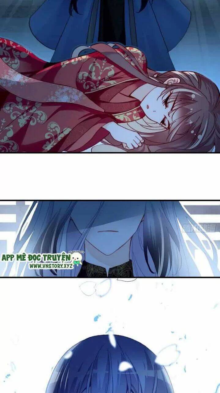 Lại Bị Bệnh Chiều Chuộng Quấn Lấy Chapter 6 - Trang 2