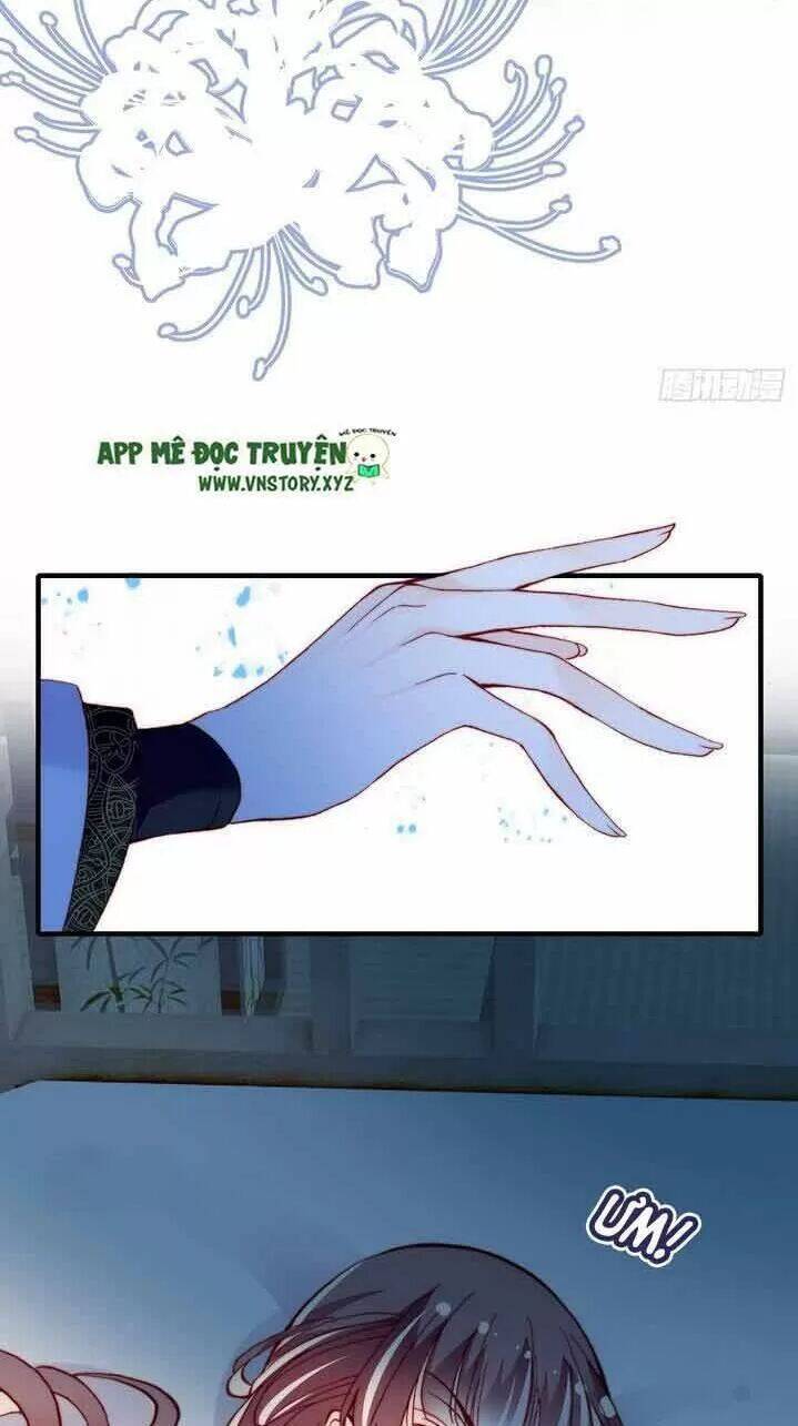 Lại Bị Bệnh Chiều Chuộng Quấn Lấy Chapter 6 - Trang 2