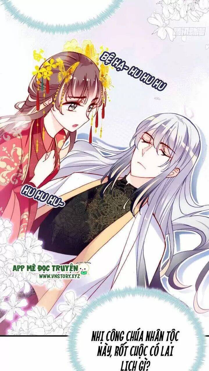 Lại Bị Bệnh Chiều Chuộng Quấn Lấy Chapter 6 - Trang 2