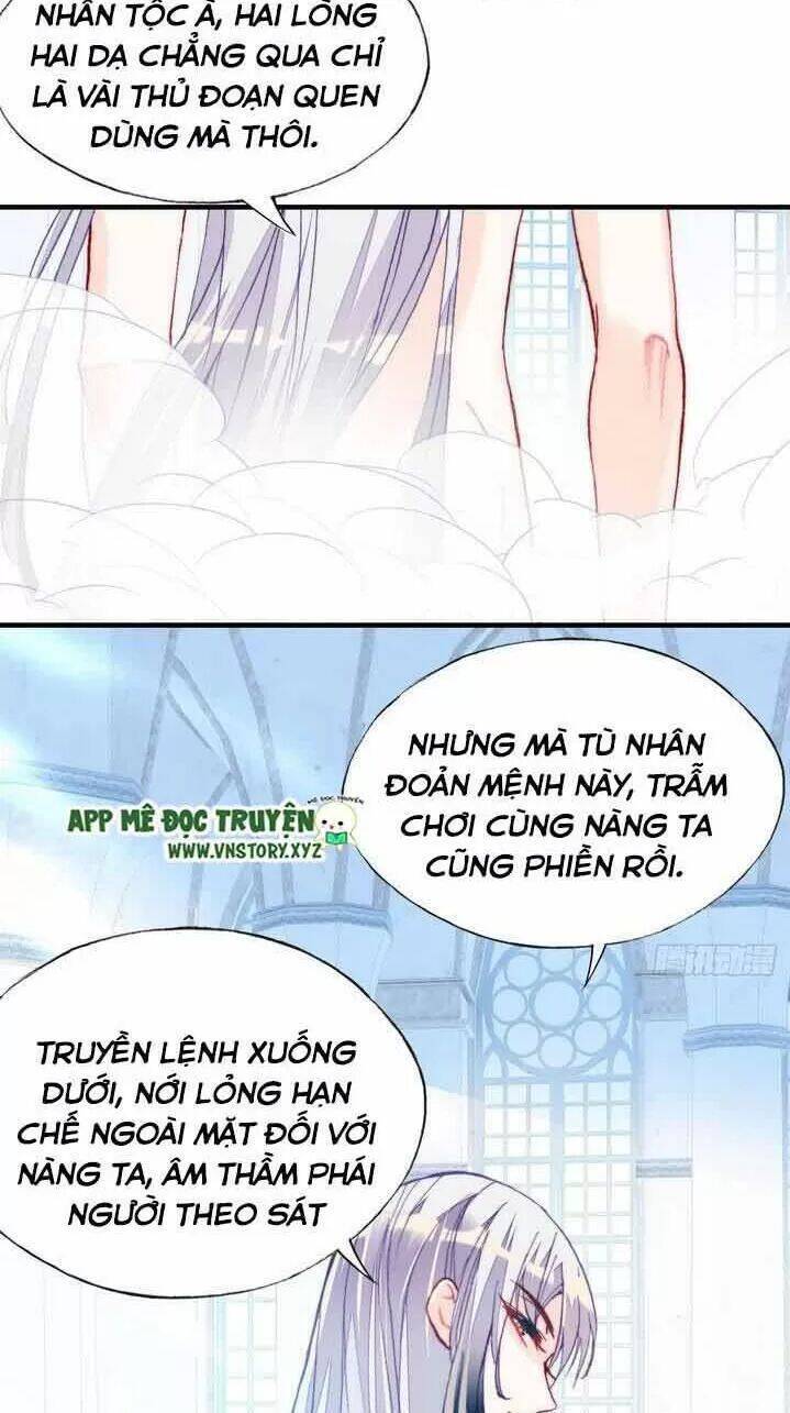 Lại Bị Bệnh Chiều Chuộng Quấn Lấy Chapter 6 - Trang 2