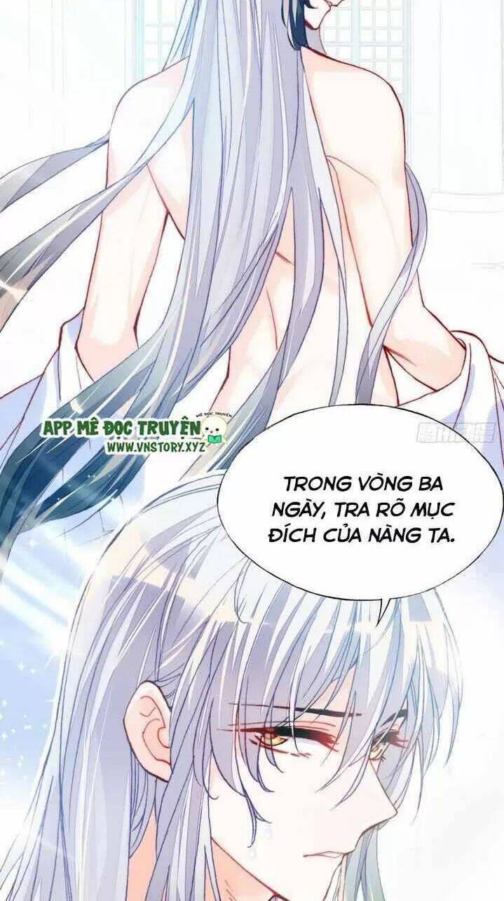 Lại Bị Bệnh Chiều Chuộng Quấn Lấy Chapter 6 - Trang 2