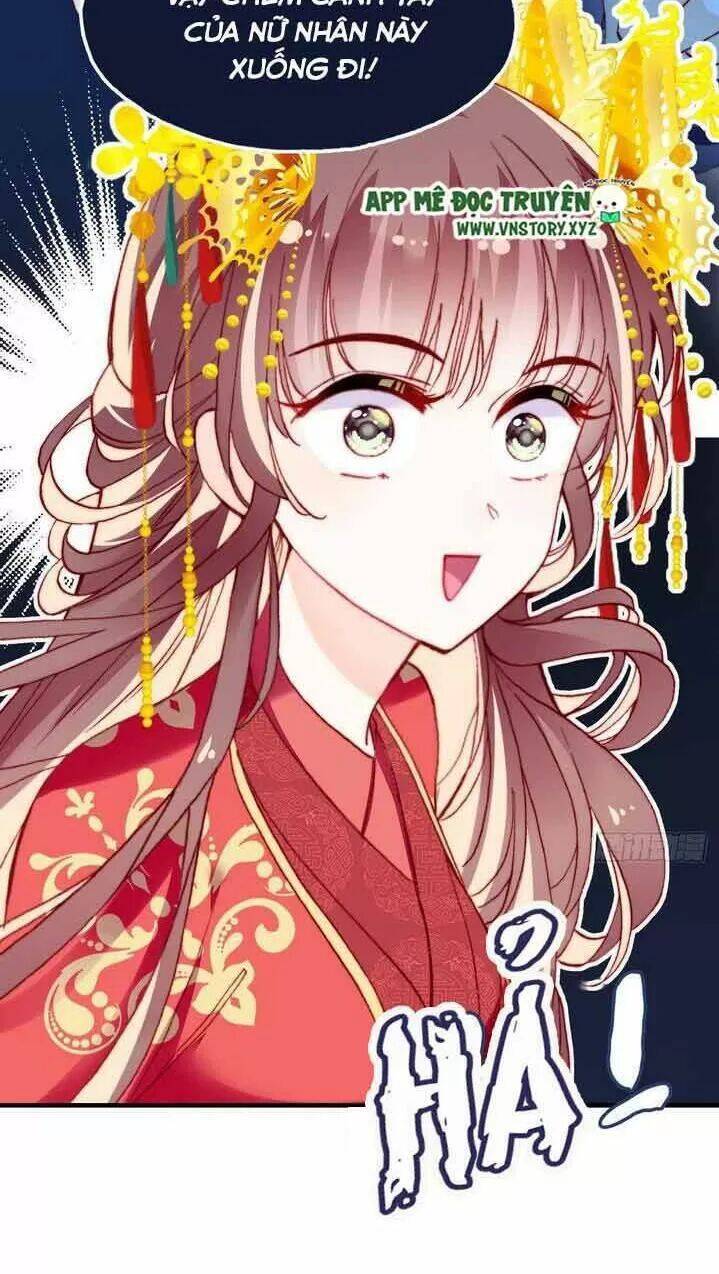 Lại Bị Bệnh Chiều Chuộng Quấn Lấy Chapter 6 - Trang 2