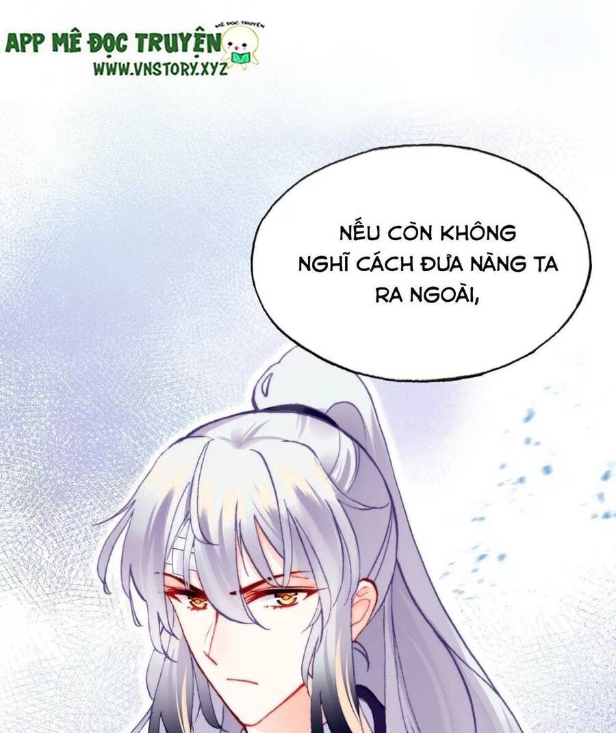 Lại Bị Bệnh Chiều Chuộng Quấn Lấy Chapter 62 - Trang 2