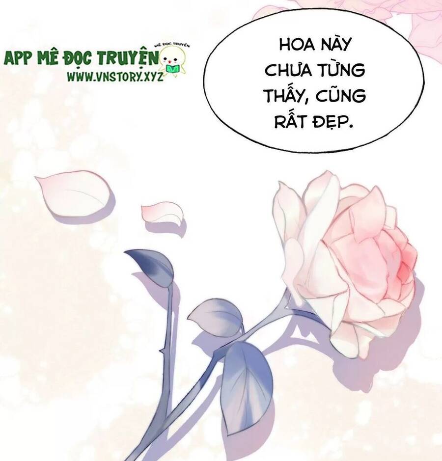 Lại Bị Bệnh Chiều Chuộng Quấn Lấy Chapter 63 - Trang 2