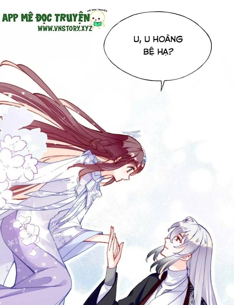 Lại Bị Bệnh Chiều Chuộng Quấn Lấy Chapter 64 - Trang 2