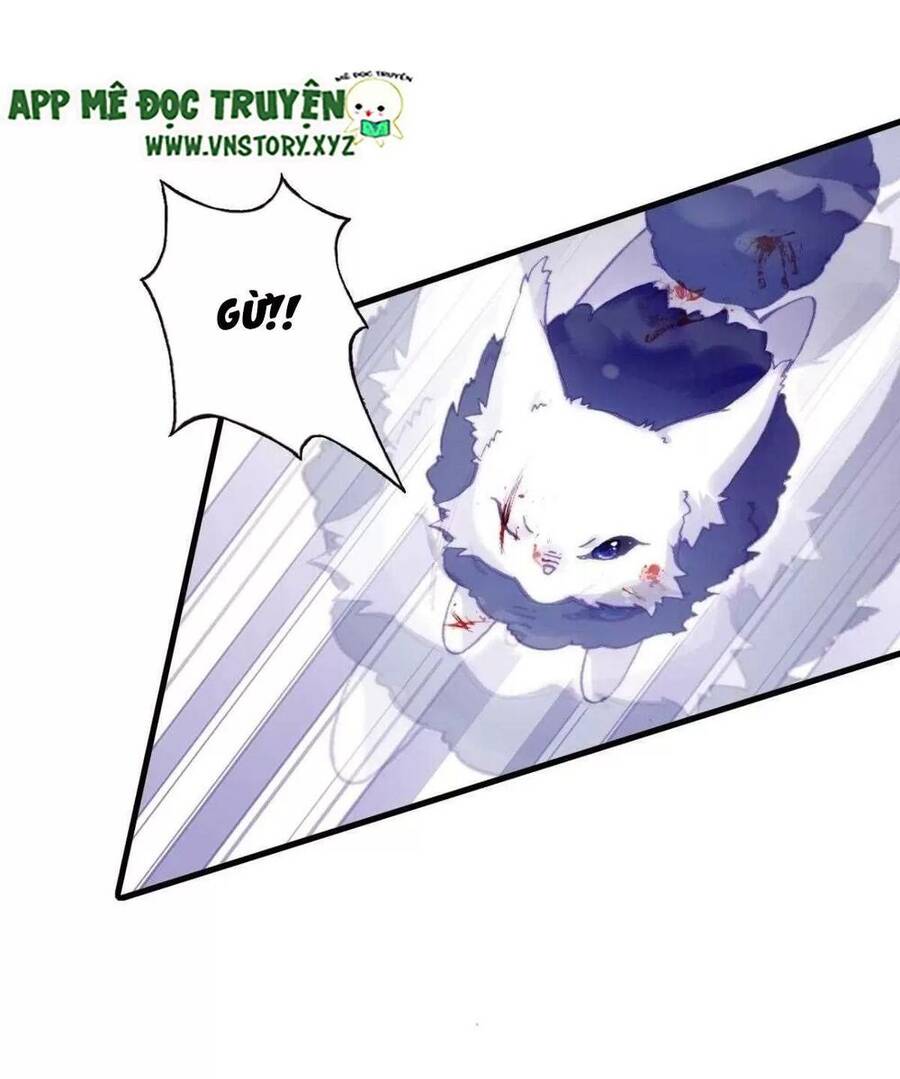 Lại Bị Bệnh Chiều Chuộng Quấn Lấy Chapter 65 - Trang 2