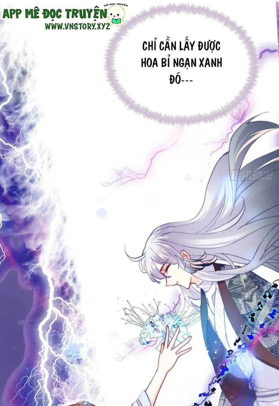 Lại Bị Bệnh Chiều Chuộng Quấn Lấy Chapter 65 - Trang 2