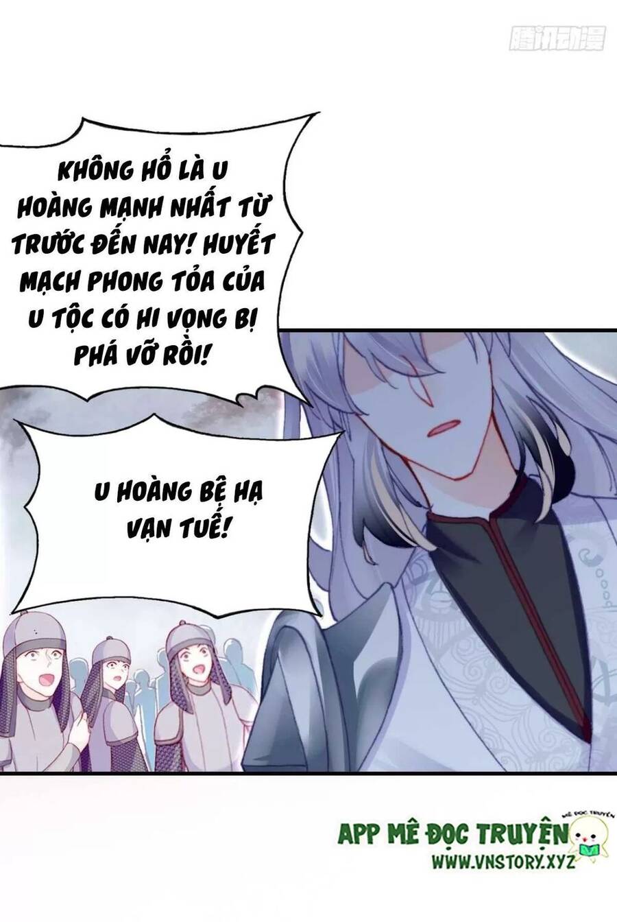 Lại Bị Bệnh Chiều Chuộng Quấn Lấy Chapter 66 - Trang 2