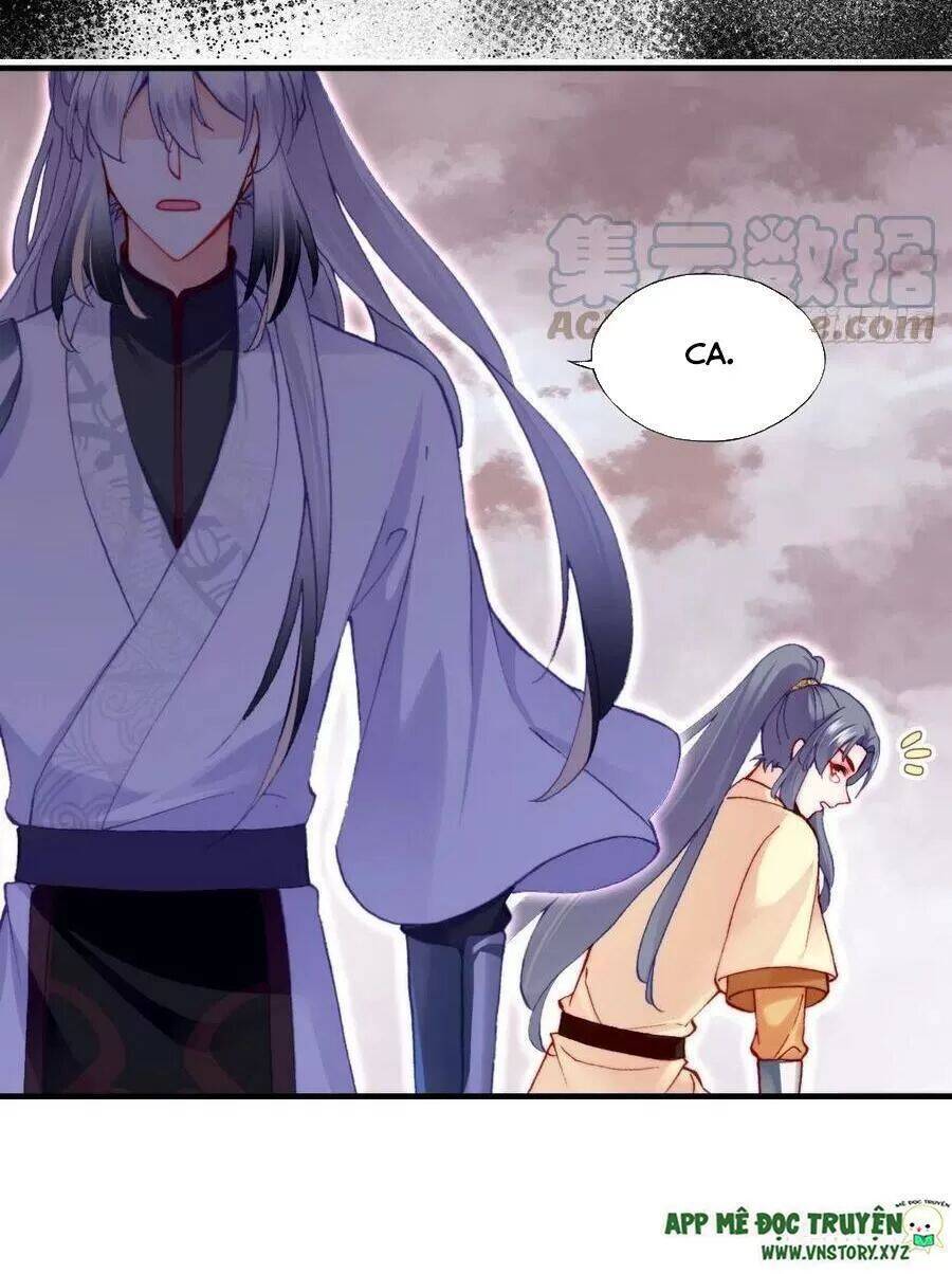 Lại Bị Bệnh Chiều Chuộng Quấn Lấy Chapter 67 - Trang 2