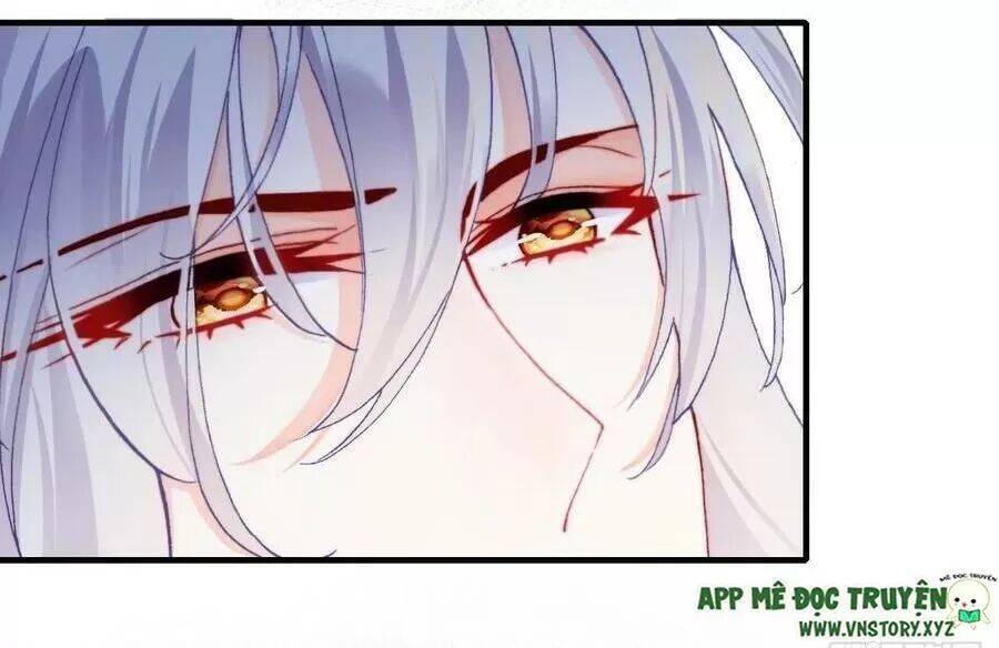 Lại Bị Bệnh Chiều Chuộng Quấn Lấy Chapter 68 - Trang 2