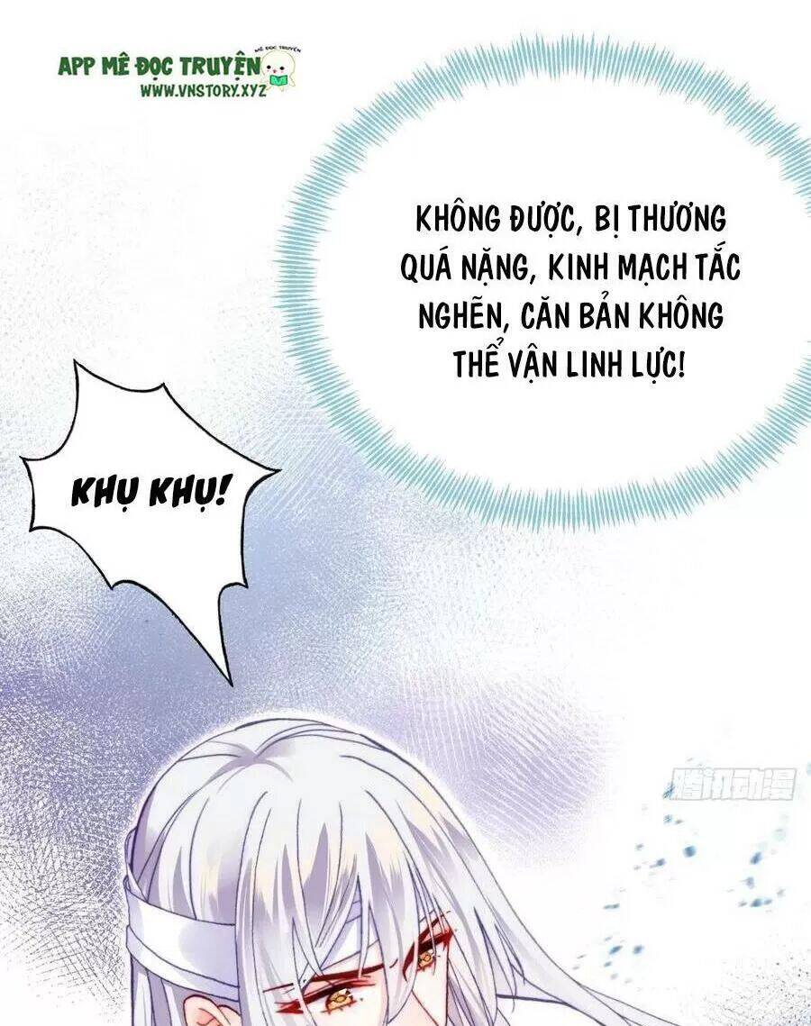 Lại Bị Bệnh Chiều Chuộng Quấn Lấy Chapter 69 - Trang 2