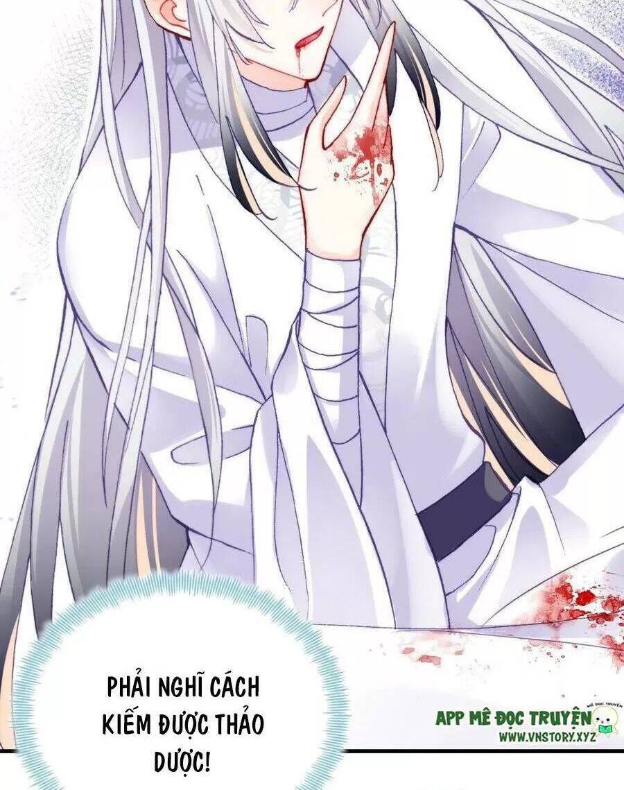 Lại Bị Bệnh Chiều Chuộng Quấn Lấy Chapter 69 - Trang 2